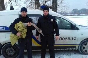 «Орли Авакова» врятували лебедя (фото+відео)