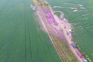 Фахівці з'ясували, що за рожева речовина розлилась біля Рівного (Фото)