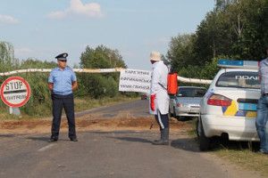 ВІСТІ ІЗ ЗОНИ ЛИХА: свиней усипляють, а згодом – спалять