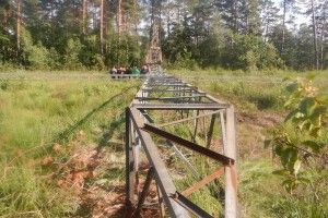 2,8 млн грн штрафу: на Львівщині збирачі металу завалили працюючу електроопору 