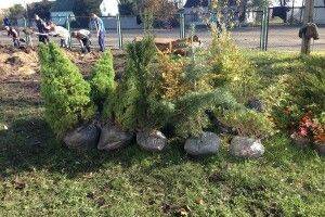Лісівники Маневиччини втілили у реальність кращі учнівські ідеї