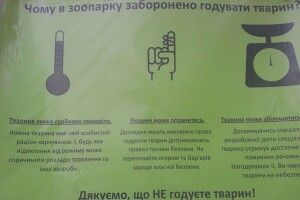 У Луцькому зоопарку третю добу борються за життя альпаки, яку «загодували» відвідувачі