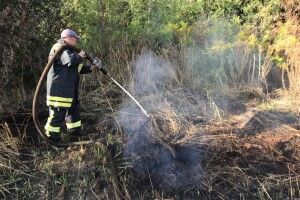 Біля Володимира-Волинського гасять пожежу на торф’янику