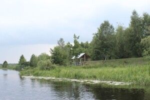 У соцмережі показали світлини чарівного куточку відпочинку у нацпарку на Волині