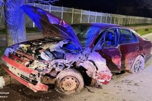 На Волині водій зніс дорожній знак і врізався в дерево