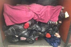 Волинянин хотів їхати через кордон бусом, вщерть запакованим 3 тоннами м’яса (фото)