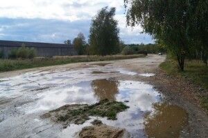 У Росії учасники весільного кортежу влаштували масову бійку через об'їзд калюжі