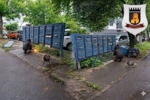 У Луцьку зносять старі металеві скриньки, які перетворилися на схованки для наркотиків