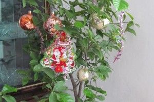 А у нас була апельсинова «ялинка»!
