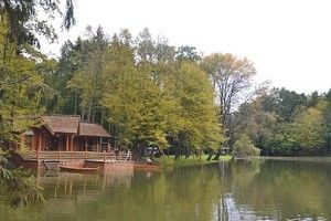 Швейцарію можна створити і у нас