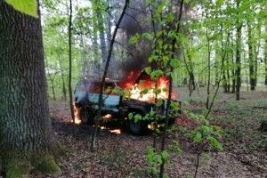 Крадії спалили автомобілі, завантажені деревиною