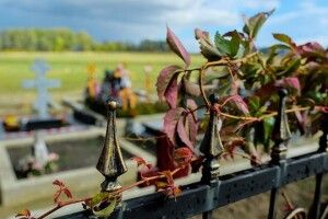 У поминальні вихідні в Луцьку закриють міське кладовище