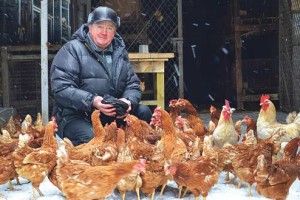 Пташине царство — для релаксу душі