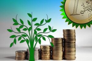 У Ковелі за дві ділянки вторгували понад 1 мільйон 700 тисяч гривень