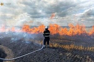 Аграрії через пожежу мало не залишилися без хліба