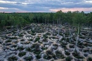 Любешівські селяни не раді видобутку бурштину біля їхніх сіл