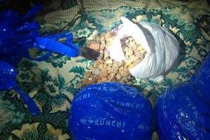 Перевізники бурштину «прокололися»… порушивши правила дорожнього руху