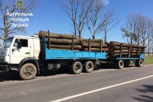 На автодорозі Луцьк-Ковель затримали велику партію «лівої» деревини (фото)