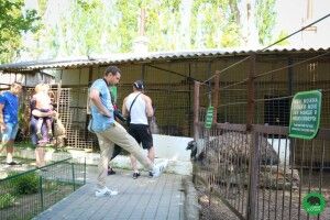 У Луцькому зоопарку відвідувач намагався набити страуса (фото)