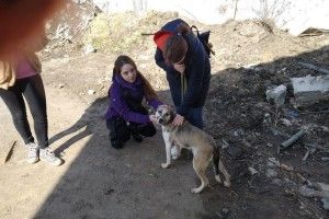 Дівчата в Луцьку водили на повідку хвостату Африку (фото)