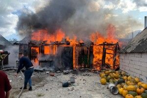 Палало все: у селі на Рівненщині вогонь наробив лиха (Фото)