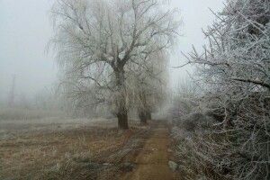 Прогноз погоди на вівторок, 21 січня: знову хмари і туман