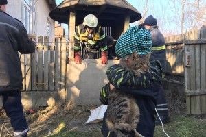 Бійці ДСНС дістали з 20-метрового колодязя домашнього кота Барсіка (фото)