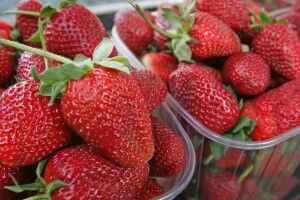 Коли в Україні буде дешева полуниця і черешня