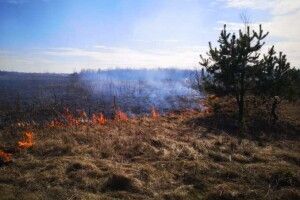 Колківські лісівники локалізували два випадки підпалів сухої трави