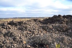 Бельгійський фермер перетворив на ріллю скіфські кургани