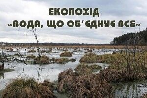 У суботу в Цуманській пущі шукатимуть дуб-«пізанську вежу» та набиратимуть воду з крутого джерела