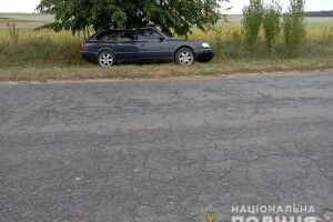 Під Луцьком водій влетів у дерево (Фото)