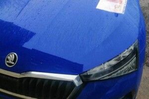 Українка прикрутила саморізом до авто коханки свого чоловіка фалоімітатор (Фото 18 +)