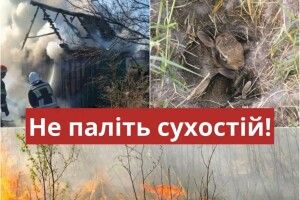 Екологи закликають волинян не палити сухостій