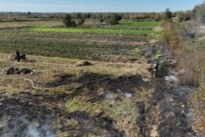 На Волині пожежа на торф'янику: чи вдалося загасити