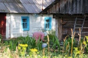 Волинський фотограф показав чарівні пейзажі Полісся влітку