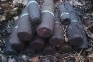 Замість грибів знайшли 14 снарядів