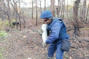 Рятувальники попередили про заплановані вибухи в Луцькому районі