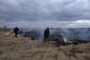 На Волині спіймали «на гарячому» палія сухої трави