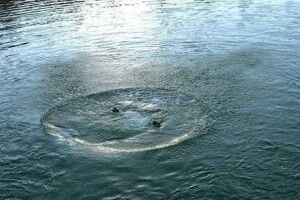 У річці знайшли тіло чоловіка, який зник три місяці тому