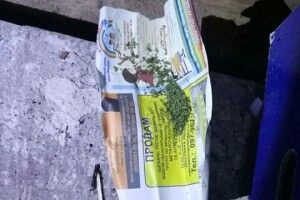 У Ковелі патрульним уночі попались чоловіки з наркотиками