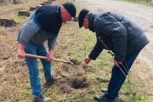 У Тростянецькій громаді подбали про квітуче майбутнє 