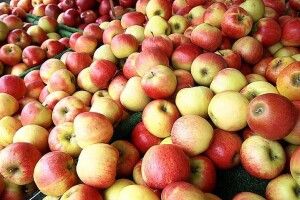 Ціни на яблука злетять утричі: коли чекати на подорожчання 
