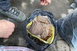 На Рівненщині поліцейські вилучили 10 кілограмів бурштину, набої, вогнепальну та холодну зброю