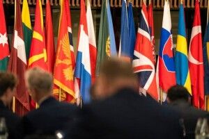 Парламентська асамблея НАТО визнала злочини рф проти України геноцидом, а режим у росії рашизмом, - Чернєв