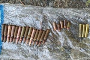 У волинянина поліція вилучила 22 патрони