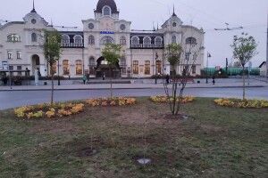 Подивіться, як круто озеленили вокзал у Луцьку