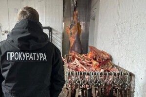 Судили волинян, які влаштували незаконну скотобійню