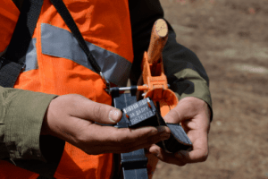 Лісокористувачі Волині запровадили електронний облік деревини