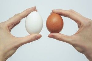 Українські яйця експортуватимуть до Албанії